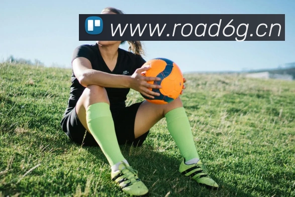 星空体育综合体育入口平台生态图